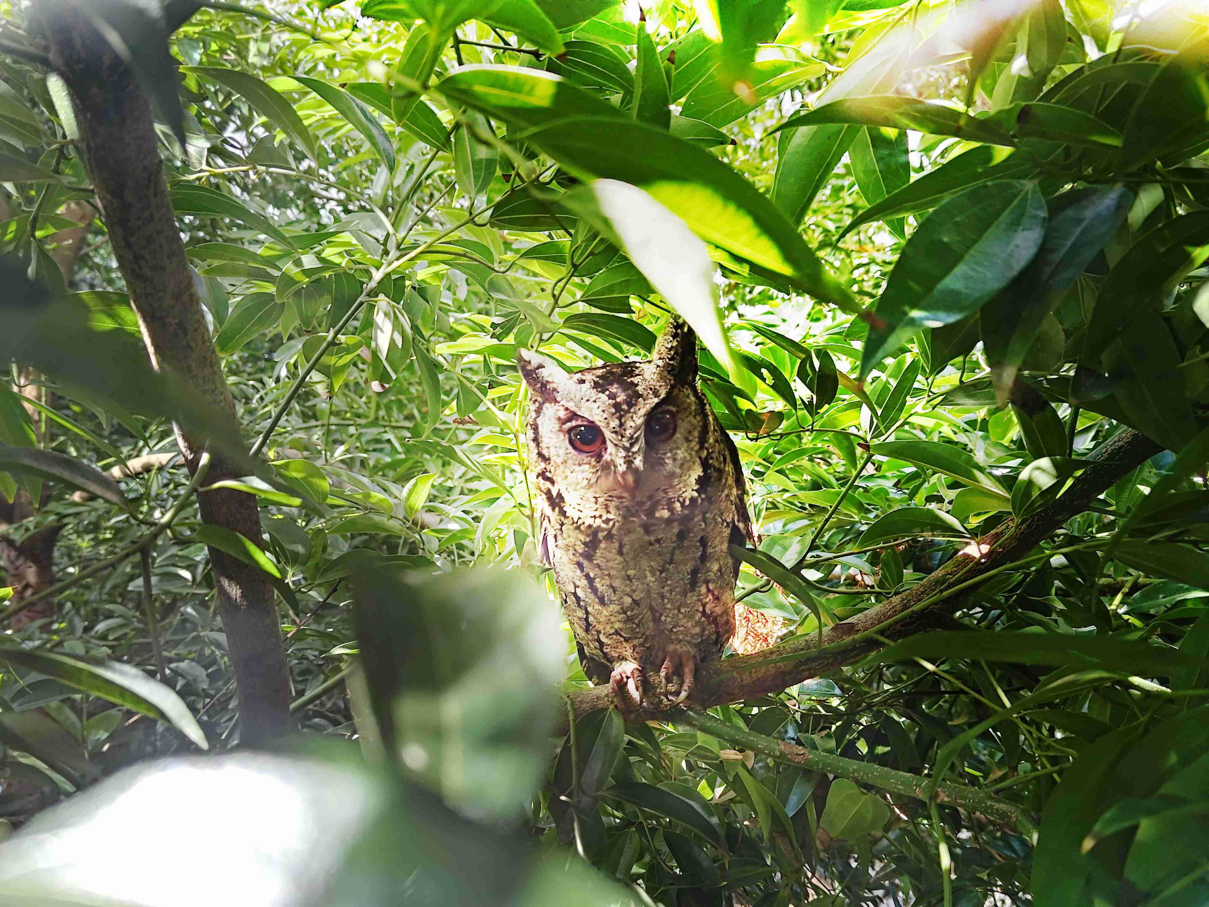 优游UB8致力提倡净零绿生活，，16年以来在全球各厂区植树逾百万棵，，造就各厂区树木蔚然成林，，，犹如森林工厂，，，成为许多生物的栖息地